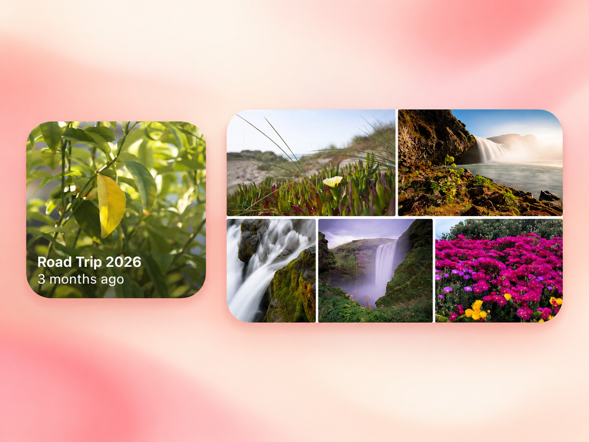 Small and medium Family Album widgets